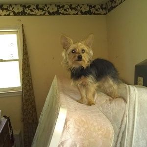 Meet your Posher, Ileta